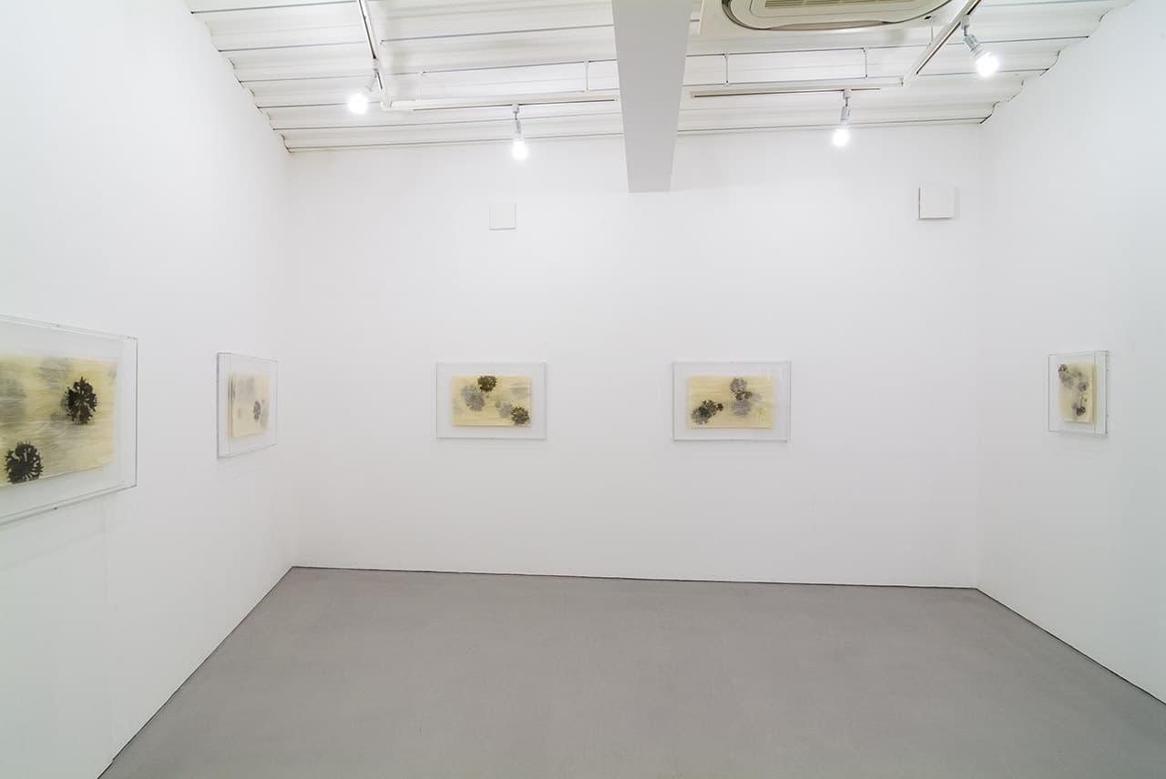 小塚康成 個展 2015 - Gallery Image 2