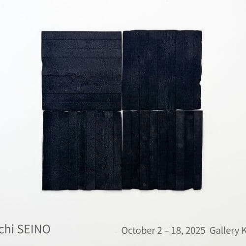 Shoichi Seino