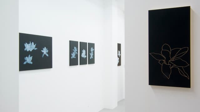 小林俊哉 個展 2011 - Gallery Image 5