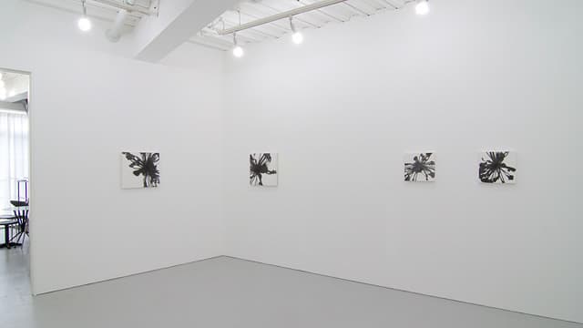 小塚康成 個展 2013 - Gallery Image 3