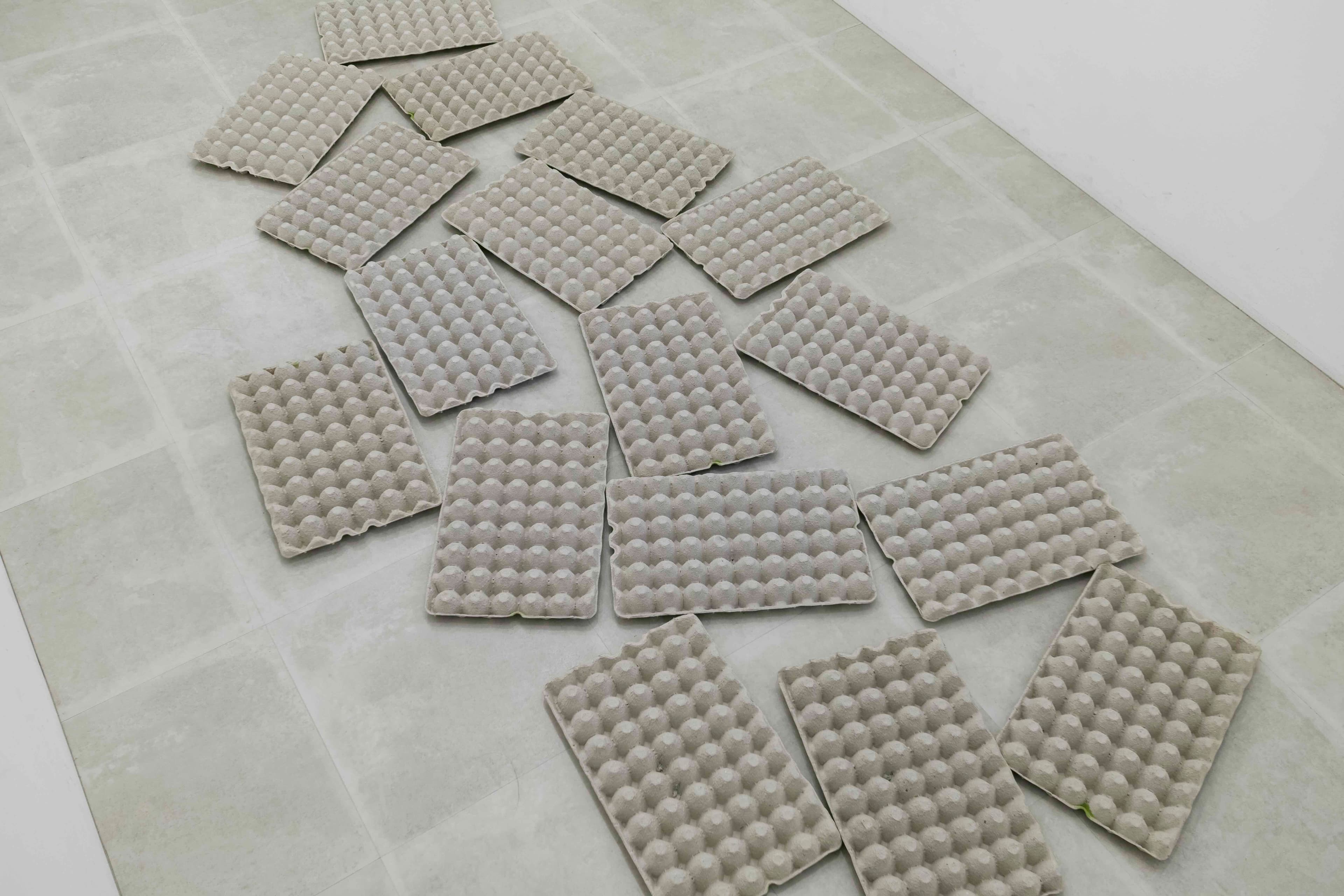 近藤正美 個展 2025 - Gallery Image 3