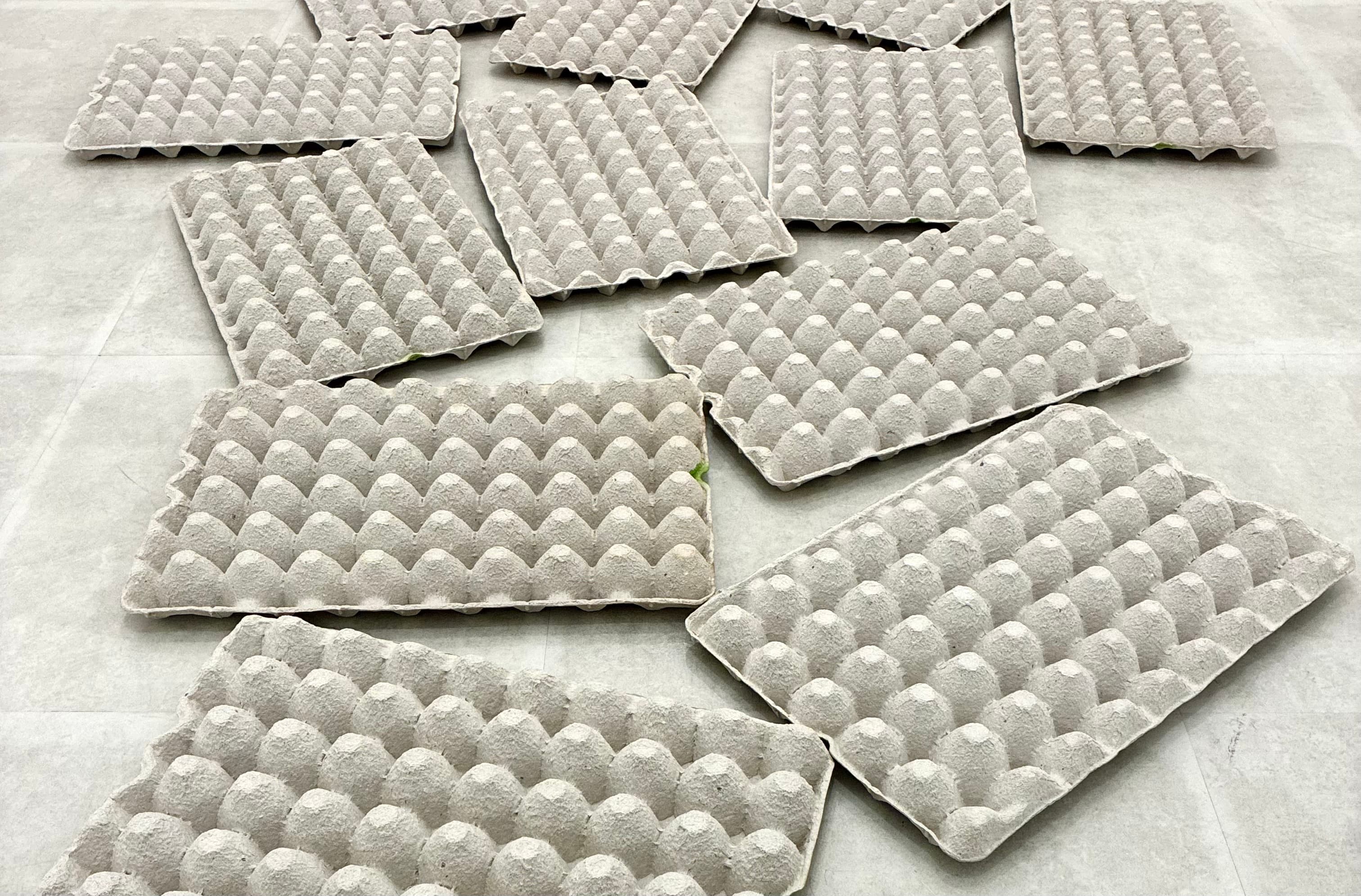 近藤正美 個展 2025