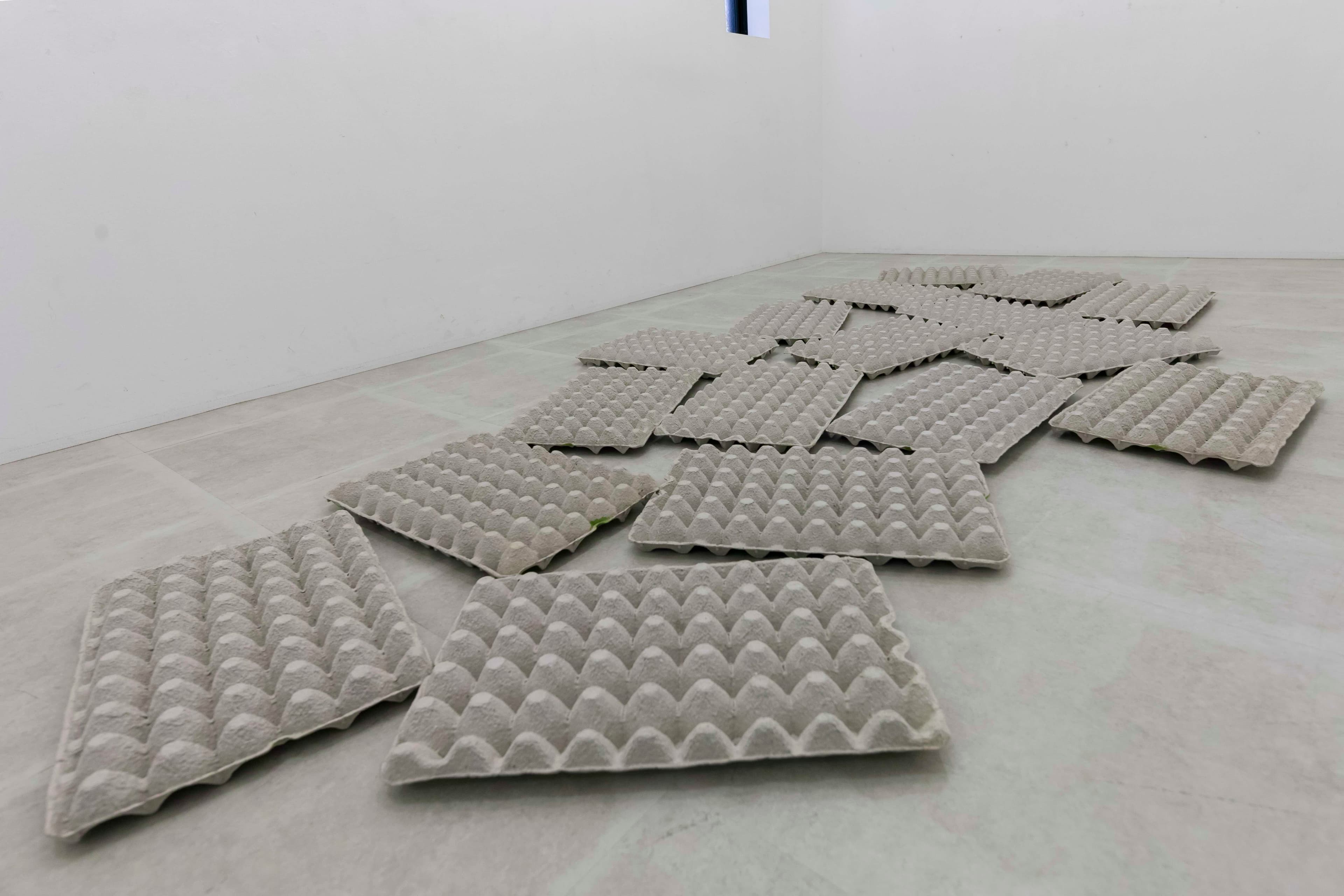 近藤正美 個展 2025 - Gallery Image 4