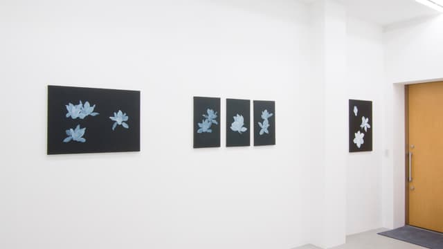 小林俊哉 個展 2011 - Gallery Image 4