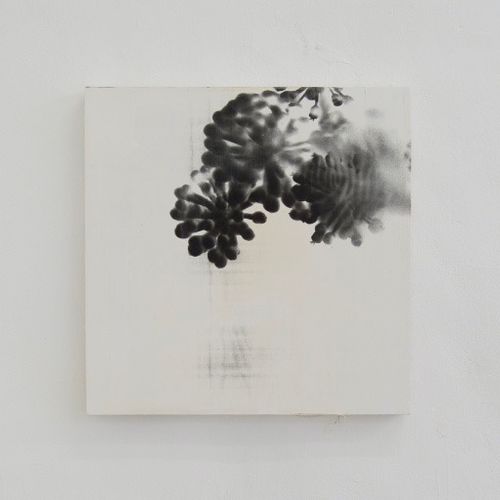 “plant”