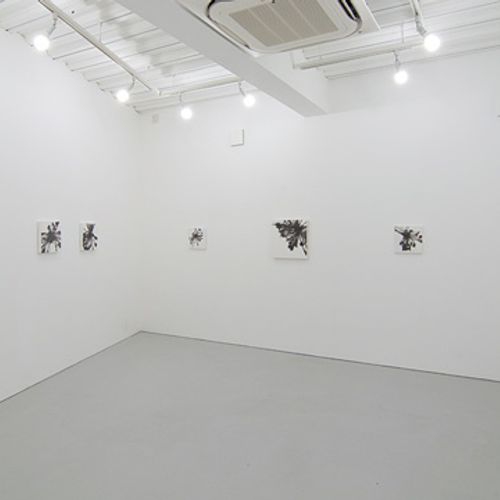小塚康成 個展 2013 - Gallery Image 1