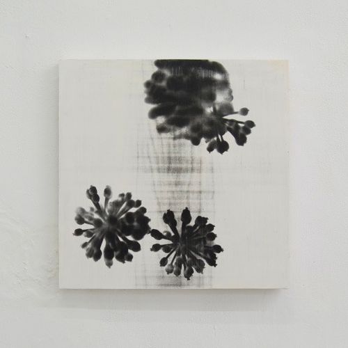 “plant”