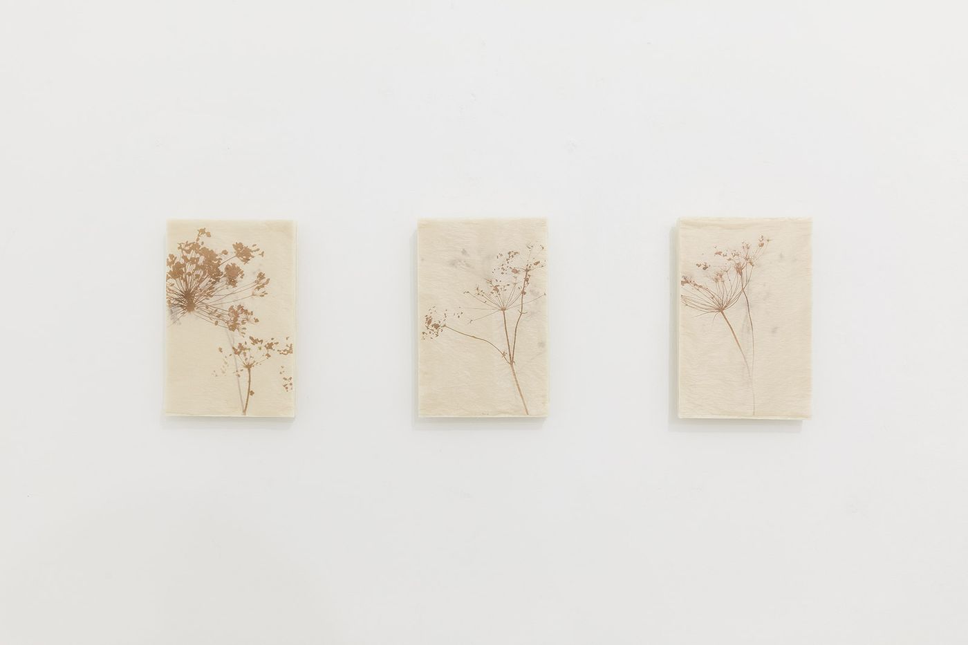 小塚康成 個展 2023 - Gallery Image 5