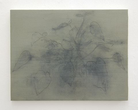 " Leaves "